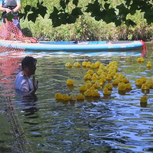 PPP 2025 duck race